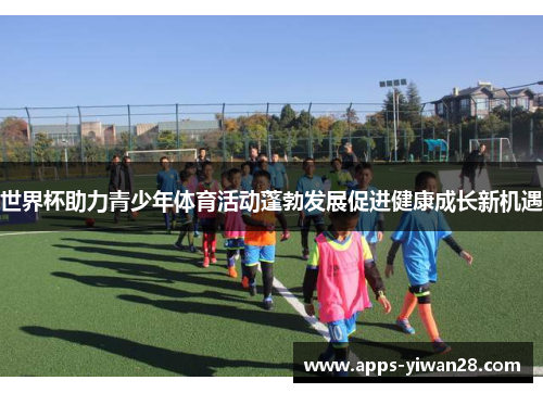世界杯助力青少年体育活动蓬勃发展促进健康成长新机遇