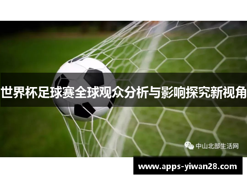 世界杯足球赛全球观众分析与影响探究新视角