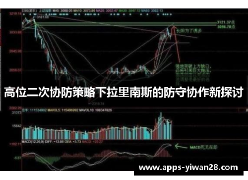 高位二次协防策略下拉里南斯的防守协作新探讨