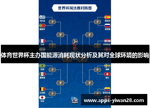 体育世界杯主办国能源消耗现状分析及其对全球环境的影响