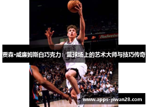 贾森·威廉姆斯白巧克力：篮球场上的艺术大师与技巧传奇