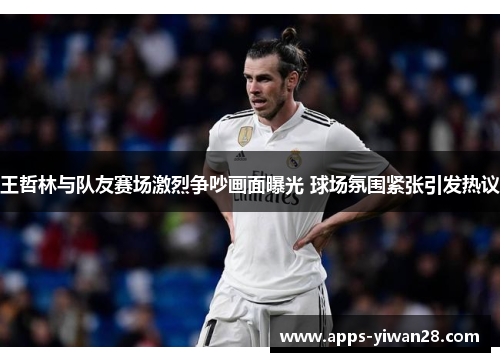王哲林与队友赛场激烈争吵画面曝光 球场氛围紧张引发热议