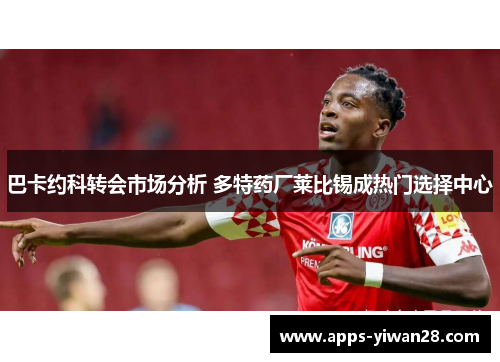 巴卡约科转会市场分析 多特药厂莱比锡成热门选择中心