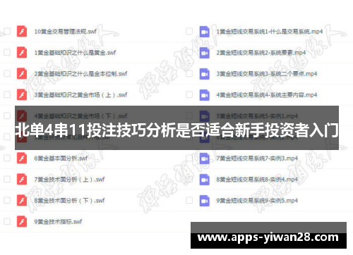 北单4串11投注技巧分析是否适合新手投资者入门