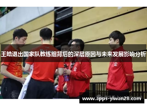 王皓退出国家队教练组背后的深层原因与未来发展影响分析